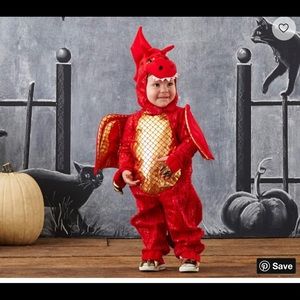 Baby Dragon costume